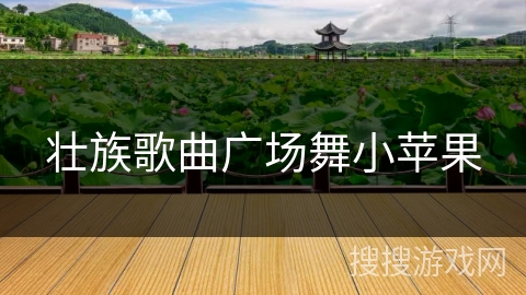 壮族歌曲广场舞小苹果