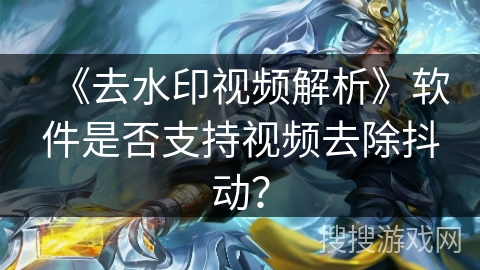 《去水印视频解析》软件是否支持视频去除抖动？