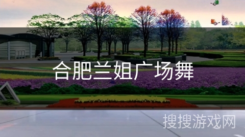 合肥兰姐广场舞
