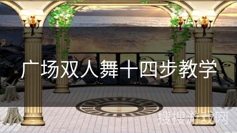 广场双人舞十四步教学