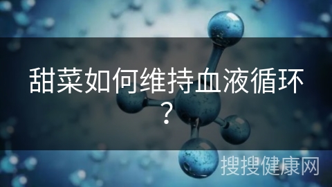 甜菜如何维持血液循环？