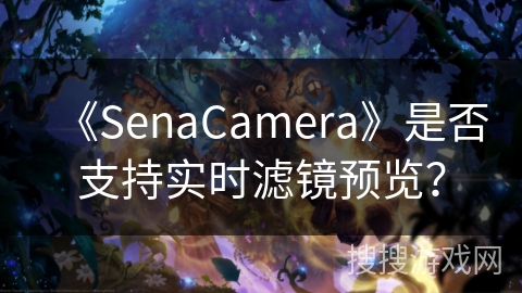 《SenaCamera》是否支持实时滤镜预览? 《SenaCamera》是否支持实时滤镜预览?