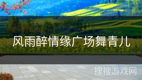 风雨醉情缘广场舞青儿