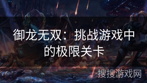 御龙无双：挑战游戏中的极限关卡