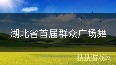 湖北省首届群众广场舞
