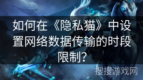 如何在《隐私猫》中设置网络数据传输的时段限制？
