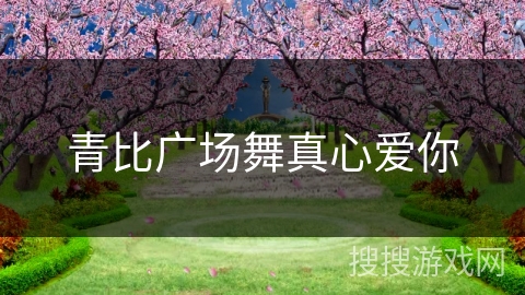 青比广场舞真心爱你