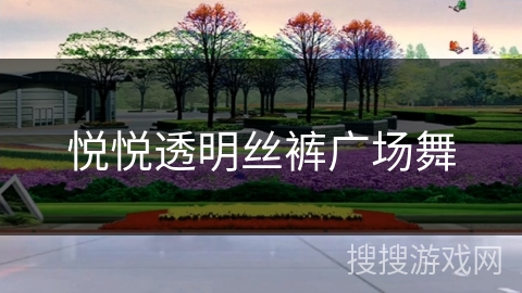 悦悦透明丝裤广场舞
