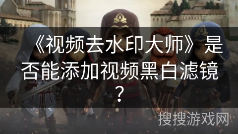 《视频去水印大师》是否能添加视频黑白滤镜？