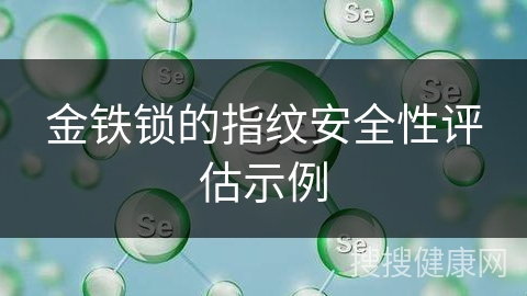 金铁锁的指纹安全性评估示例