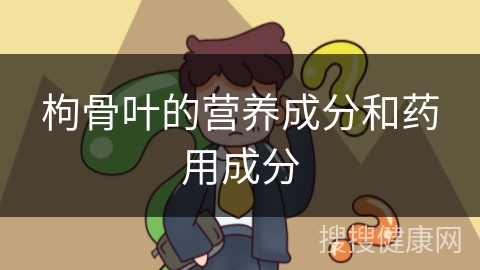 枸骨叶的营养成分和药用成分