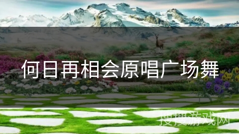 何日再相会原唱广场舞