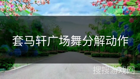 套马轩广场舞分解动作