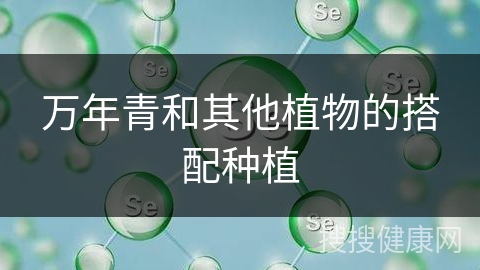 万年青和其他植物的搭配种植