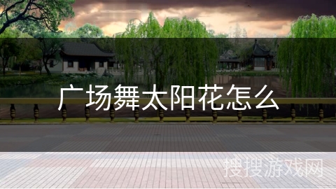 广场舞太阳花怎么