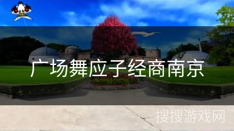 广场舞应子经商南京