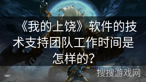 《我的上饶》软件的技术支持团队工作时间是怎样的？