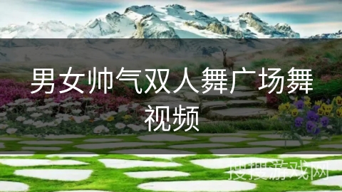 男女帅气双人舞广场舞视频
