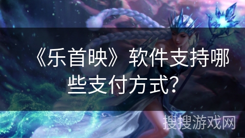 《乐首映》软件支持哪些支付方式？