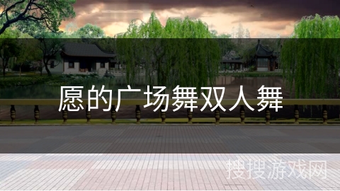 愿的广场舞双人舞