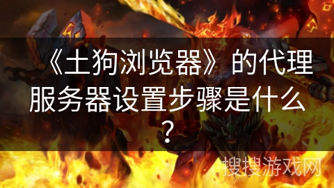 《土狗浏览器》的代理服务器设置步骤是什么？