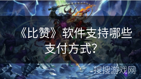 《比赞》软件支持哪些支付方式？