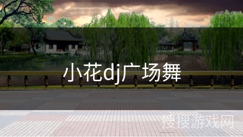 小花dj广场舞