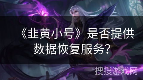 《韭黄小号》是否提供数据恢复服务？