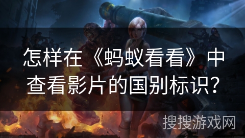 怎样在《蚂蚁看看》中查看影片的国别标识？