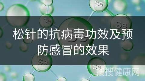 松针的抗病毒功效及预防感冒的效果