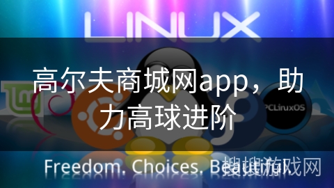 高尔夫商城网app,助力高球进阶 高尔夫商城网app,助力高球进阶