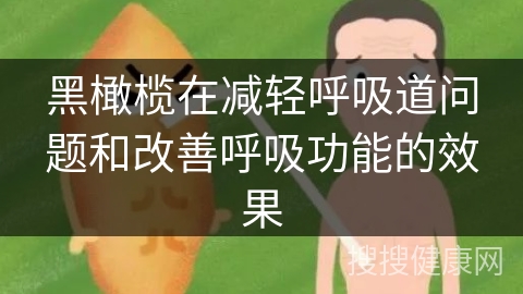 黑橄榄在减轻呼吸道问题和改善呼吸功能的效果