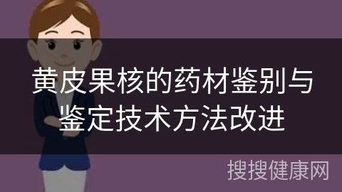 黄皮果核的药材鉴别与鉴定技术方法改进