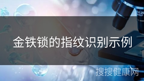 金铁锁的指纹识别示例