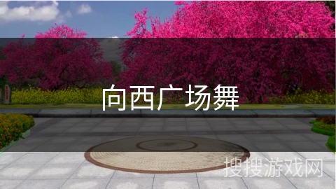 向西广场舞 向西广场舞