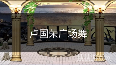 卢国荣广场舞 卢国荣广场舞