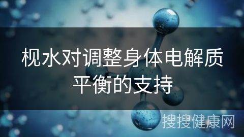 枧水对调整身体电解质平衡的支持