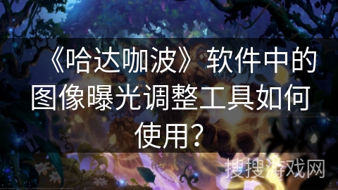 《哈达咖波》软件中的图像曝光调整工具如何使用? 《哈达咖波》软件中的图像曝光调整工具如何使用?