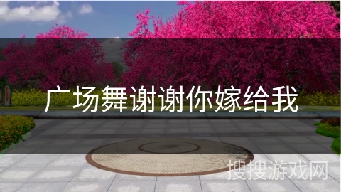 广场舞谢谢你嫁给我 广场舞谢谢你嫁给我