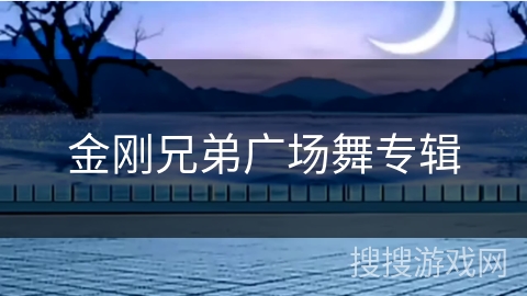 金刚兄弟广场舞专辑