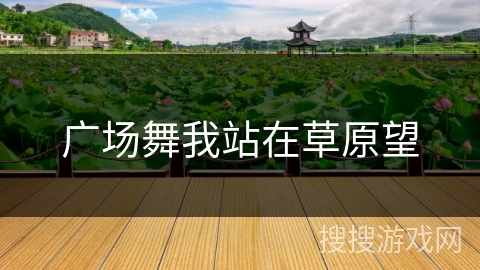 广场舞我站在草原望 广场舞我站在草原望