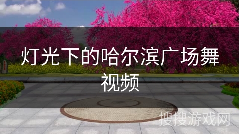 灯光下的哈尔滨广场舞视频 灯光下的哈尔滨广场舞视频
