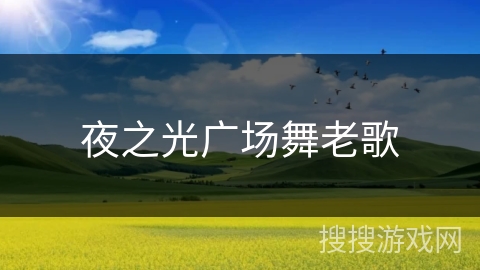 夜之光广场舞老歌