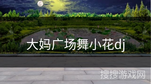 大妈广场舞小花dj 大妈广场舞小花dj