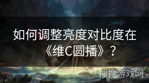 如何调整亮度对比度在《维C圆播》？