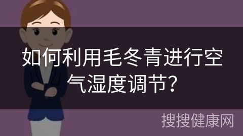 如何利用毛冬青进行空气湿度调节？