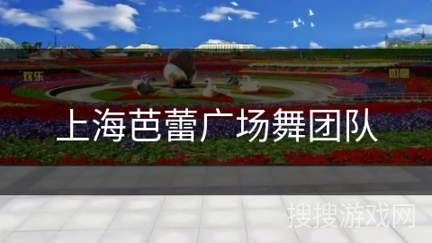 上海芭蕾广场舞团队