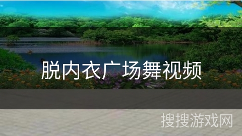 脱内衣广场舞视频