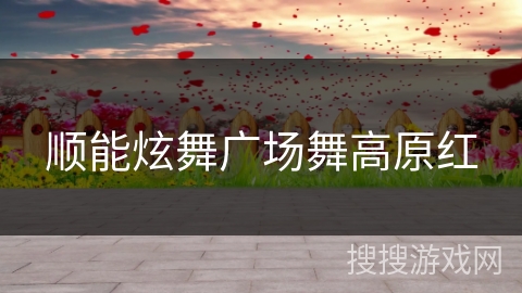 顺能炫舞广场舞高原红