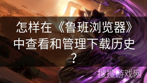 怎样在《鲁班浏览器》中查看和管理下载历史? 怎样在《鲁班浏览器》中查看和管理下载历史?